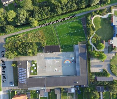 nachtegaallaan nachtegaallaan